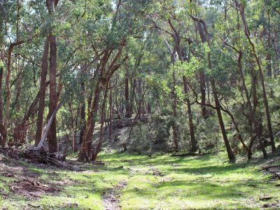 780 Glen Creek Road, Bonnie Doon