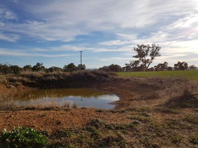 458 Sir Ivan Dougherty Drive, Dunedoo