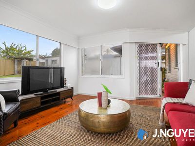 6 Wakelin Avenue, Mount Pritchard
