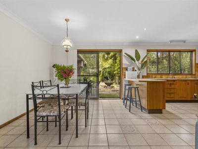 219 Upper Camp Mountain Road, Camp Mountain