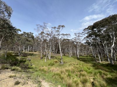 Lot 143, 6875 Taralga Road, Taralga