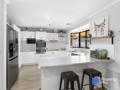 4 Collett Court, Maiden Gully