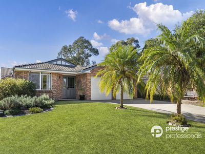 7 Wollemi Court, Wattle Grove