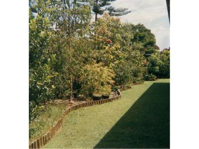 29 Beatty Street, Rochedale South