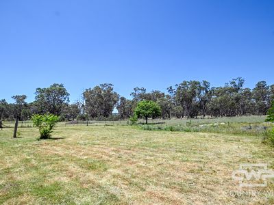 2583 Kings Plains Road, Inverell