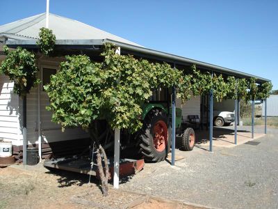 28 Harpers Lane, Wedderburn