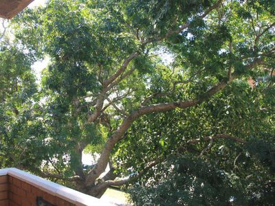 33 - 35 Barden Street, Arncliffe