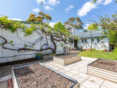 80 Wisbey Street, Carey Park