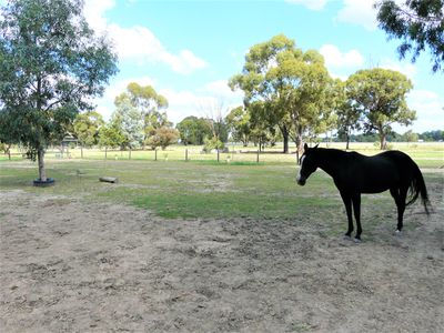 88 Honniball Drive, Tocumwal