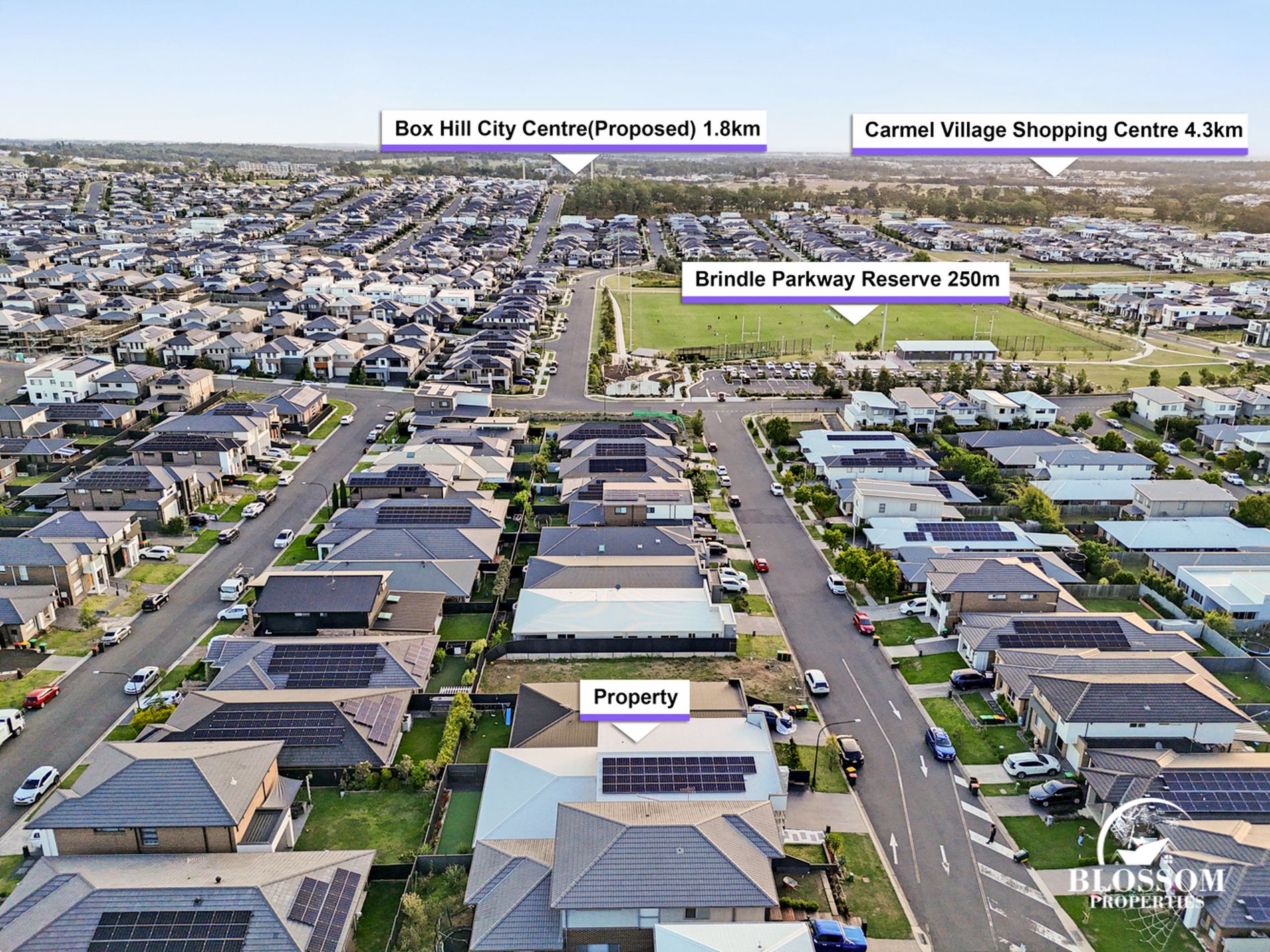 23 Cinch Street, Box Hill