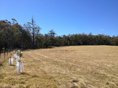 Lot 2, 49 Wills Road, Abels Bay