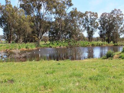 228 / Perryman Lane, Table Top