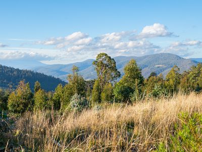 Lot 6 Paddys Lane, Franklin