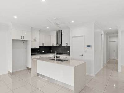 17 Barringtonia Street, Mount Sheridan
