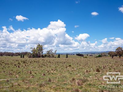 387 Shannon Vale Road, Shannon Vale