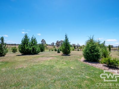 52 Severn River Road, Dundee