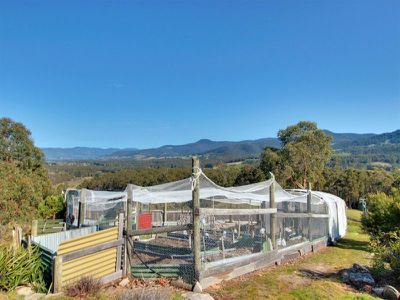 110 Waggs Road, Mountain River