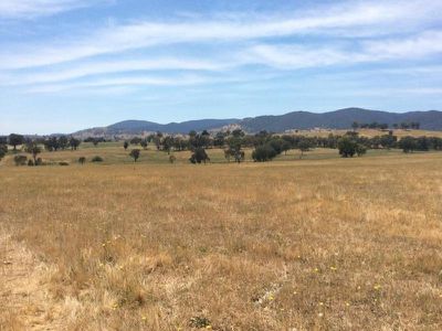 Mongan Lane, Yackandandah