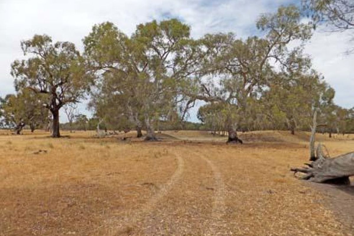 Gillies Road, Timmering