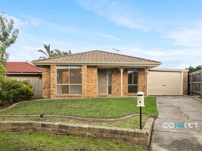 8 Rochelle Court, Narre Warren South