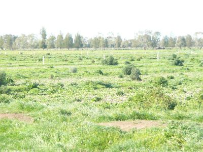 Murray Valley Highway Randalls Road, Wee Wee Rup