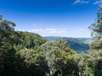 486 Davis Road, Jiggi