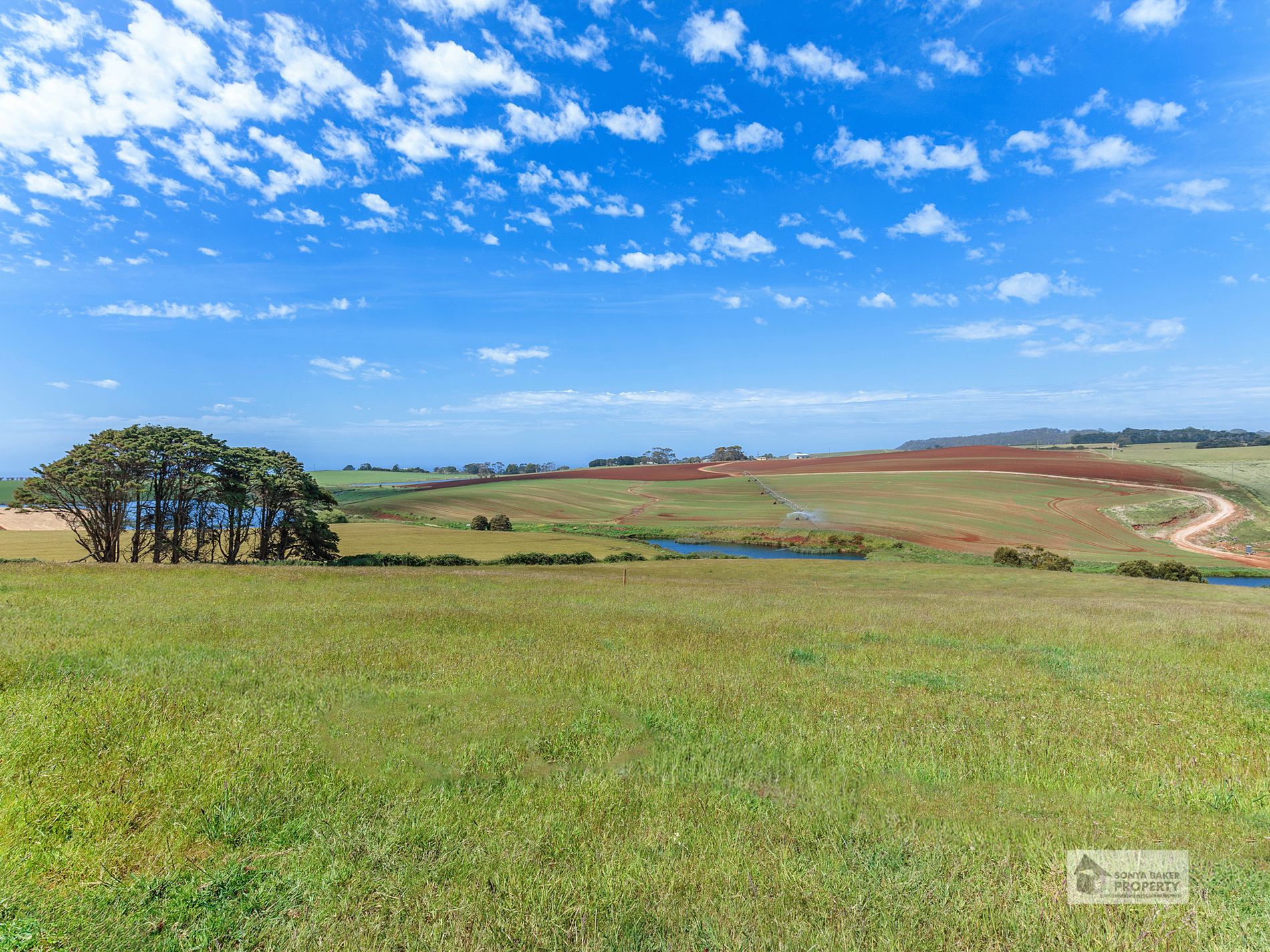144 Baulds Road, Table Cape