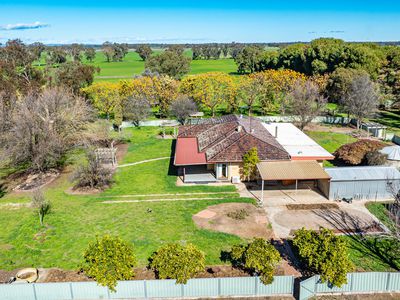 'Pastoria Park' 205 Balldale Road, Hopefield