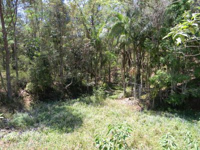 478 Moy Pocket Road, Kenilworth