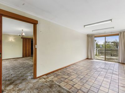 374 Williams Road, Millicent