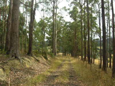 Office HUON / Highway, Dover
