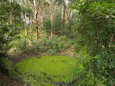 50D Keoghs Road, Kangaroo Valley