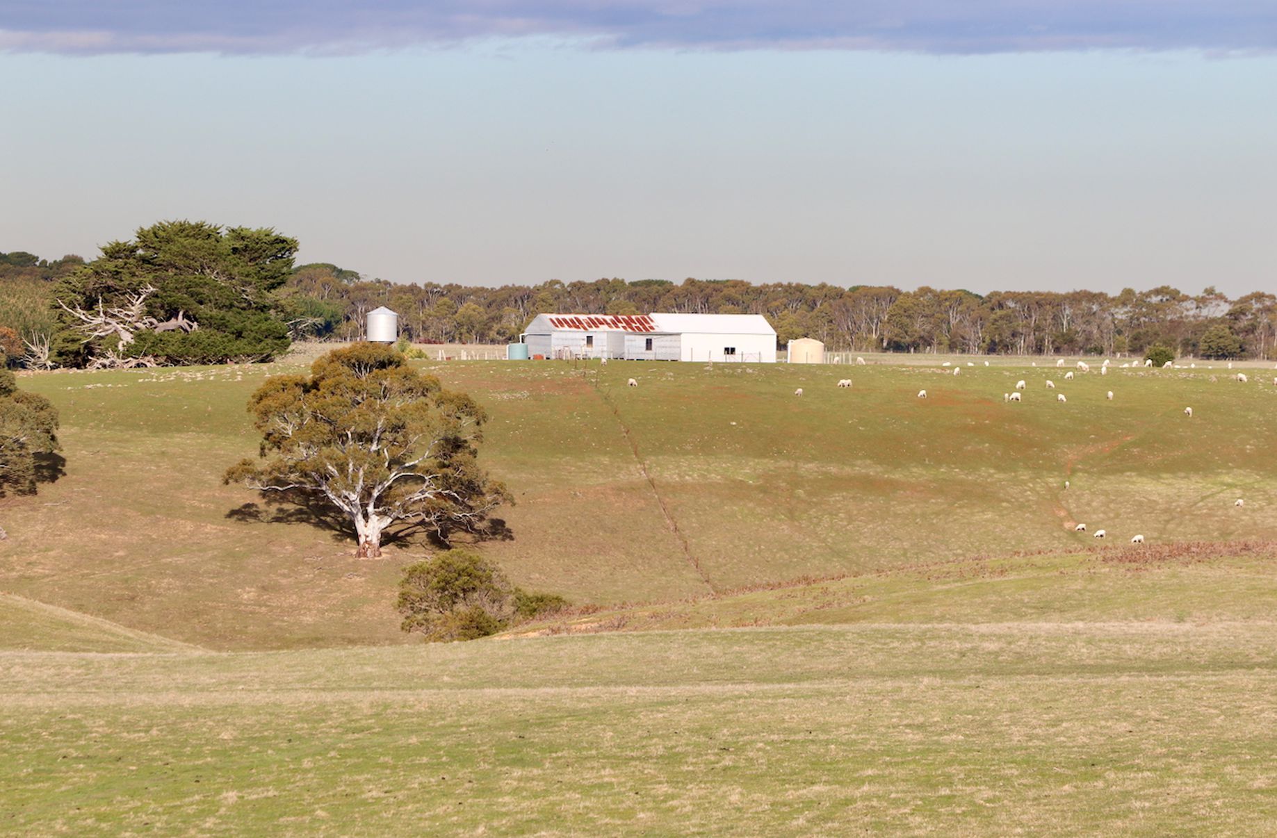 Lot 13, 13A, 13B, 31A &, 31C BRIDGE ROAD, Grenville
