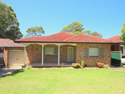 21 Treloar Crescent, Chester Hill