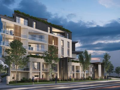 4 Alan Street, Box Hill