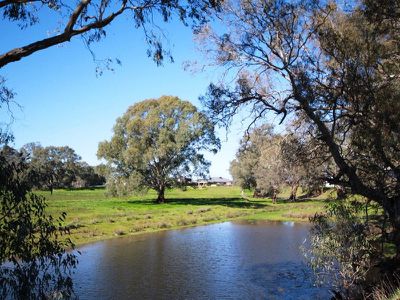 29 Macquarie Court, Wangaratta