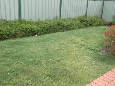 16 Pegus Street, Thornlie