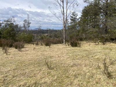 464 Tally Ho, Braidwood