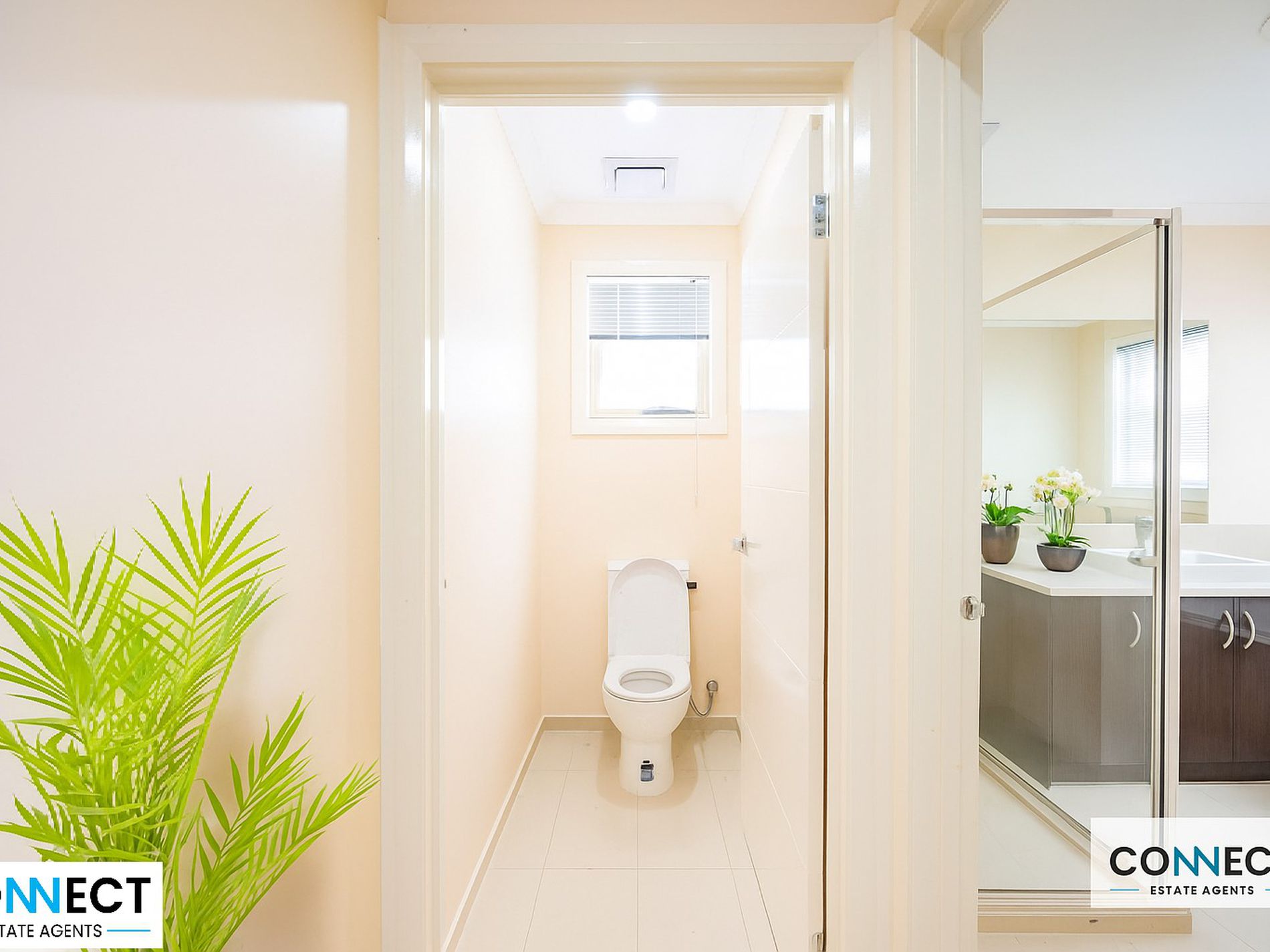 10 Water Fern Grove, Greenvale