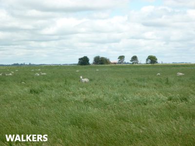 581 Mount Hope Road, Millicent