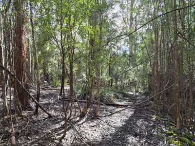 Lot 2, Off Paddys Lane, Franklin