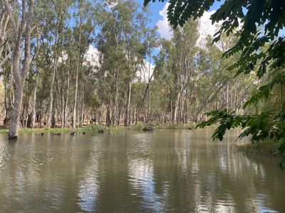 2238 Kerang Koondrook Road, Koondrook