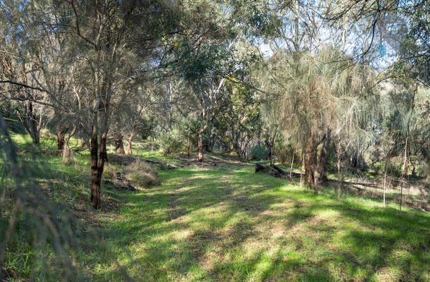 55 Kinnear Road, Mickleham