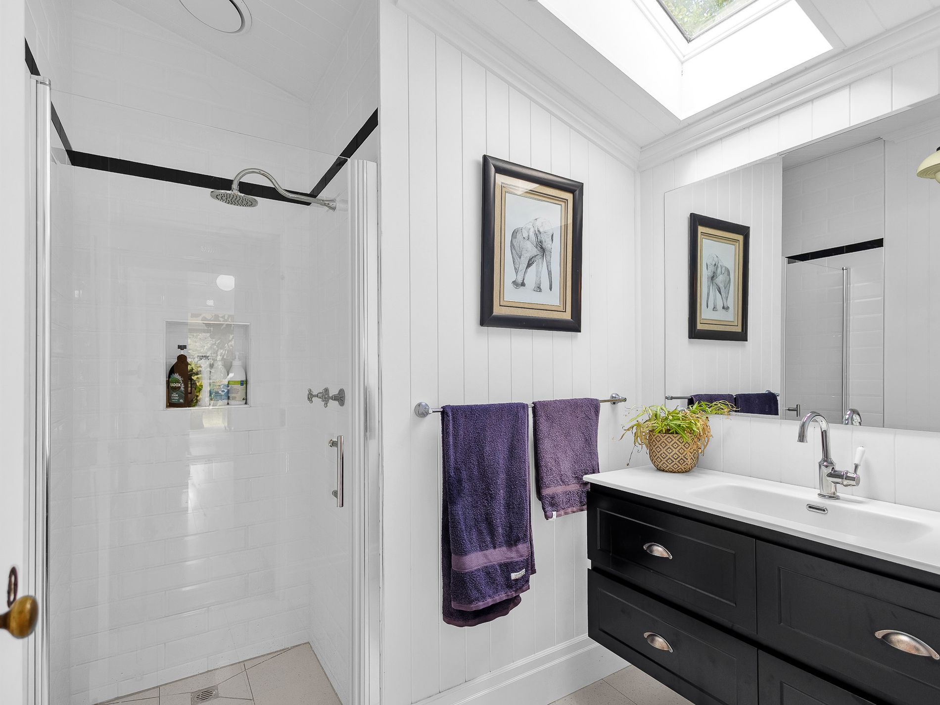 17 Exhibition Street, Pomona