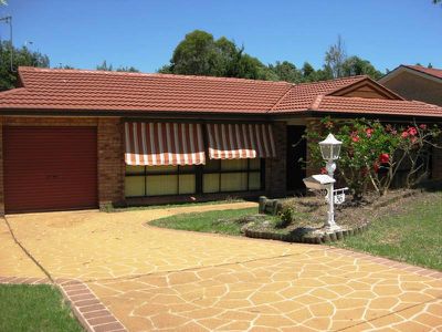Blackbutt