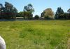 35 Watson Street, Molong
