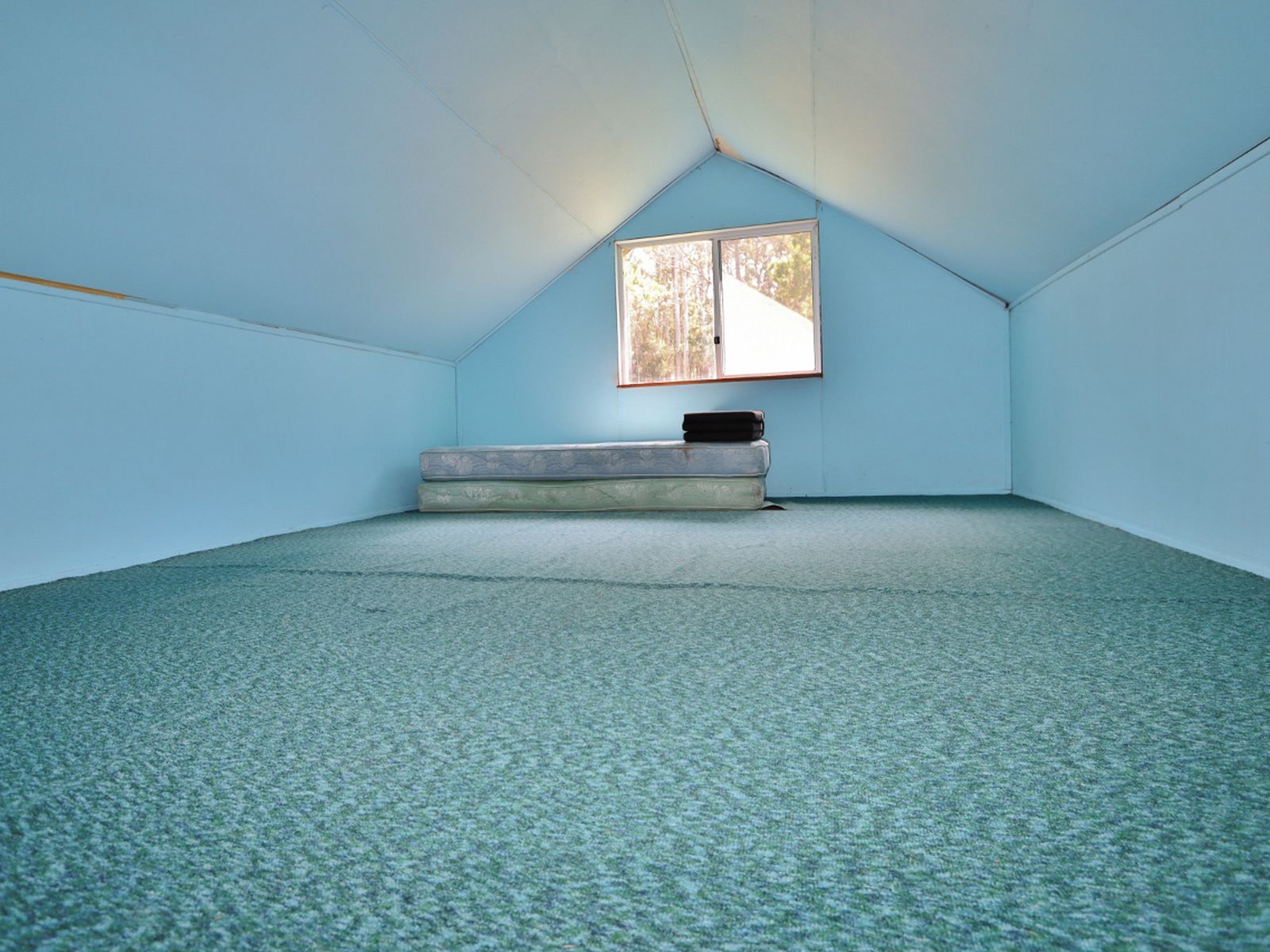 59B Burgess Track, Wallagaraugh, Genoa