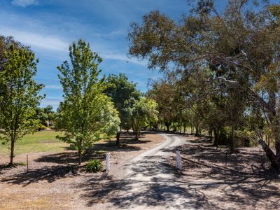 1007 Great Alpine Road, Tarrawingee