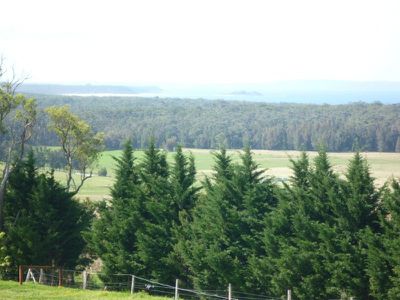 25 Eyrie Bowrie Drive, Milton