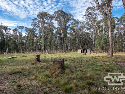 106 Warra Forest Road, Mount Mitchell